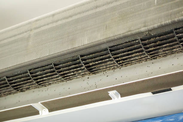 Best Duct Cleaning for Homes  in Red Hill, SC